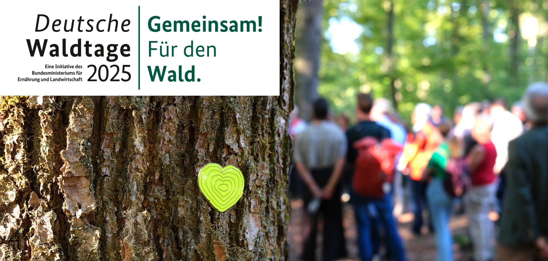 Keyvisual Deutsche Waldtage 2025 Baumrinde in Nahaufnahme mit grünem Herzchen